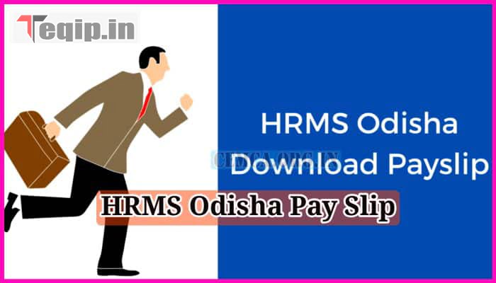 HRMS Odisha Pay Slip