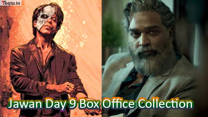 Jawan Day 9 Box Office Collection
