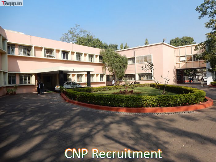 CNP Recruitment