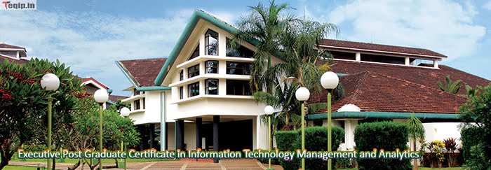 Executive Post Graduate Certificate in Information Technology Management and Analytics