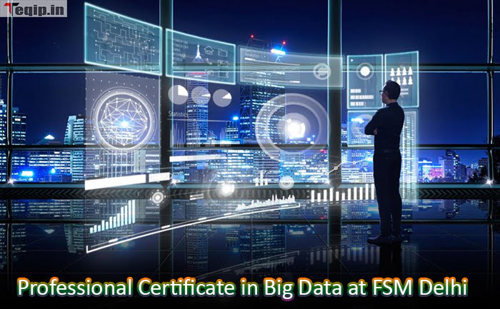 Professional Certificate in Big Data at FSM Delhi