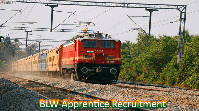 BLW Apprentice Recruitment