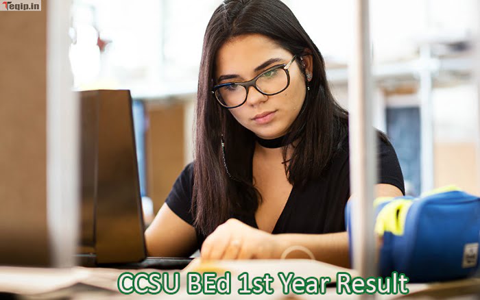 CCSU BEd 1st Year Result