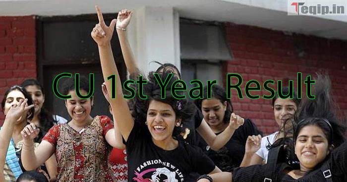 CU 1st Year Result 2024