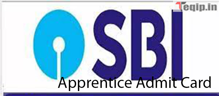 SBI Apprentice Admit Card 2024