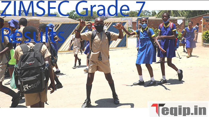 ZIMSEC Grade 7 Results