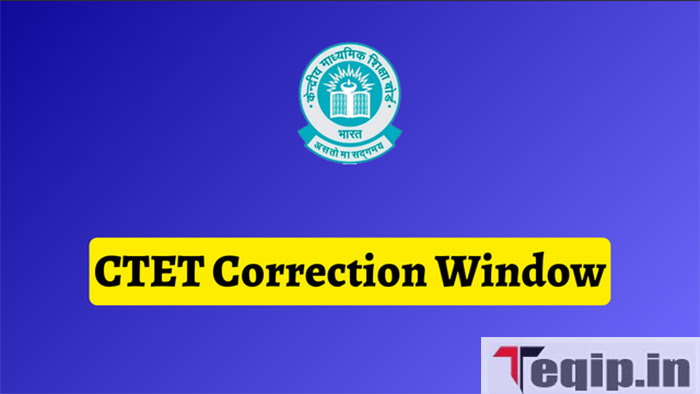 CTET Correction Window