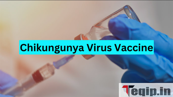 Chikungunya Virus Vaccine