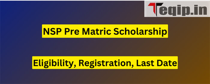 NSP Pre Matric Scholarship 