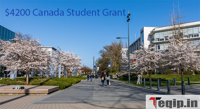 $4200 Canada Student Grant