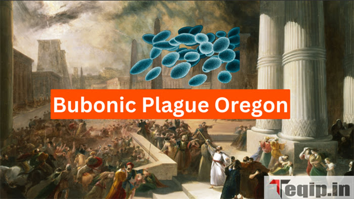Bubonic Plague Oregon