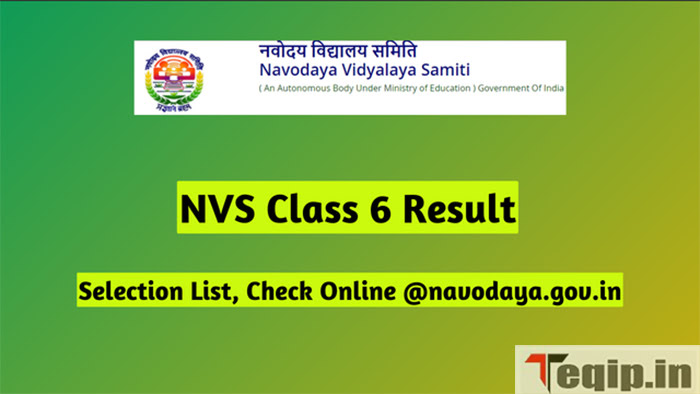 NVS Class 6 Result