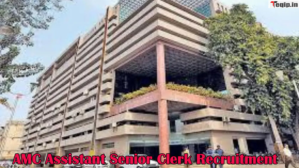 AMC Assistant Senior Clerk Recruitment