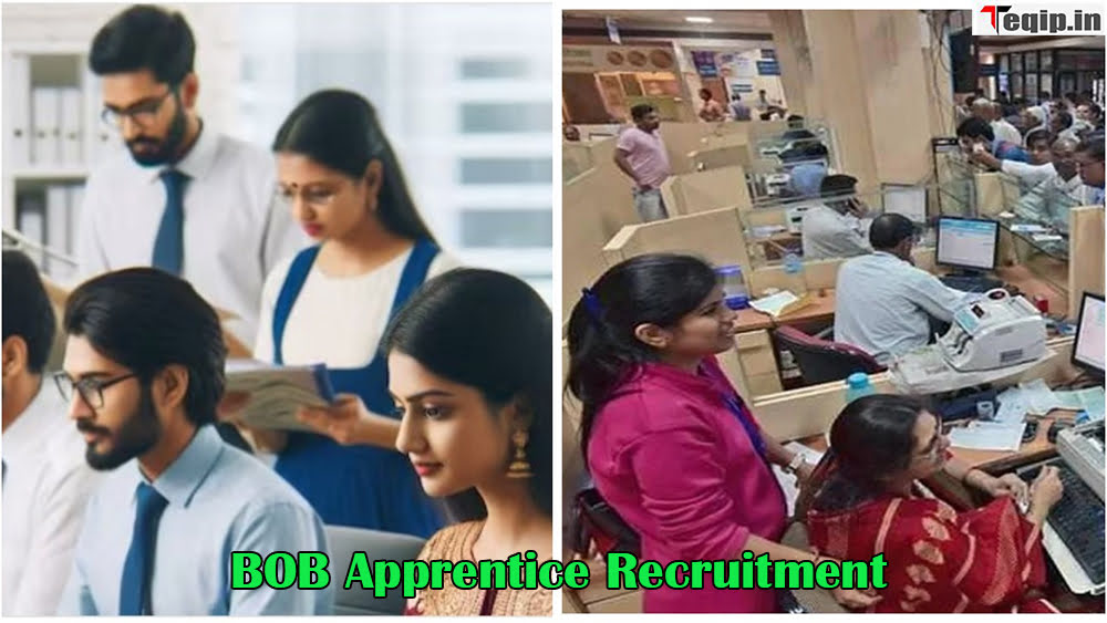 BOB Apprentice Recruitment