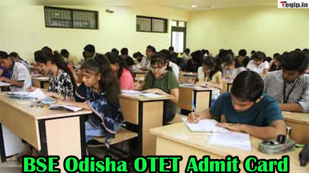 BSE Odisha OTET Admit Card
