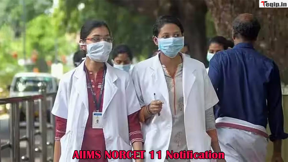 AIIMS NORCET 11 Notification