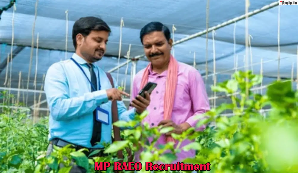 MP RAEO Recruitment