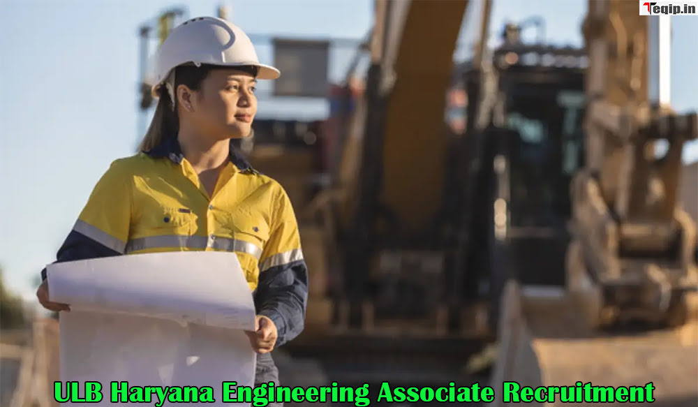 ULB Haryana Engineering Associate Recruitment